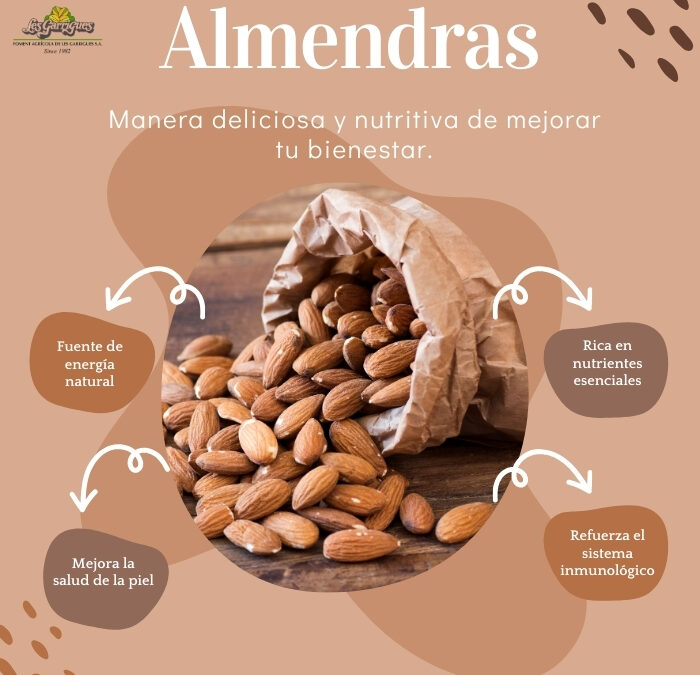 LOS 10 BENEFICIOS DE COMER ALMENDRAS