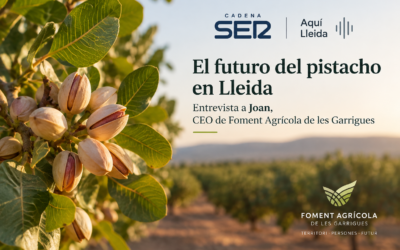 El futuro del pistacho en Lleida: entrevista a Joan, CEO de Foment Agrícola de les Garrigues